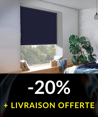 20% de remise + LIVRAISON OFFERTTE